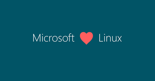 Microsoft dévoile un produit sous Linux | Geek Mexicain